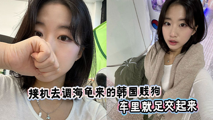 接机去调海龟来的韩国贱狗车里就足交起来